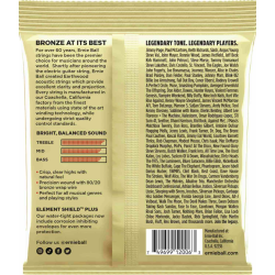 Ernie Ball 2006 Earthwood 80/20 Extra Light